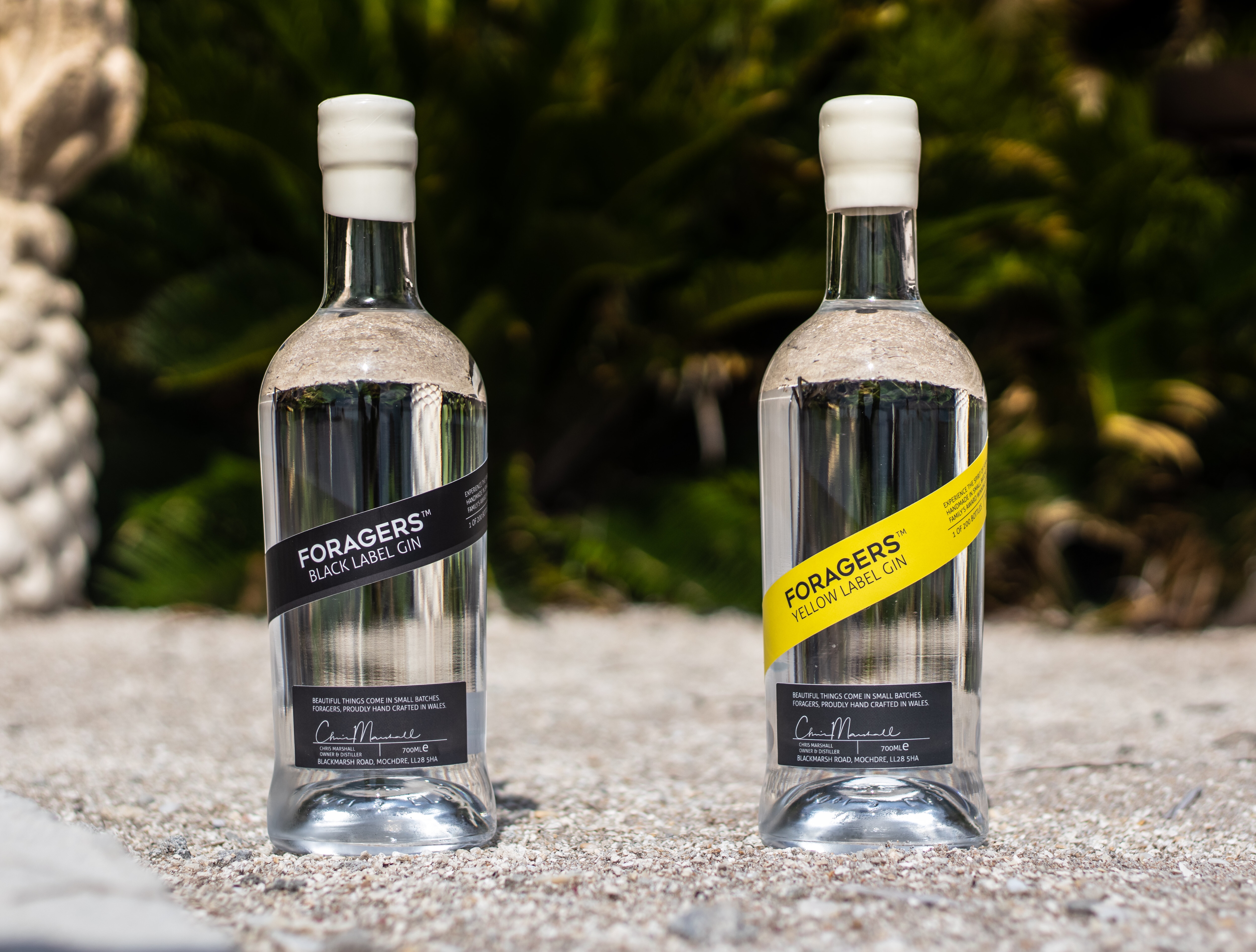 Forager’s Gin featured image